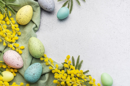 Colorful easter eggs  and mimosa flowers on concrete background., a Holiday Photo by Olena Rudo