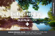 Old Film-Look Nature Images Vol Two, a Templates & Theme by Retroshutter (Thumbnail 3 of 6)