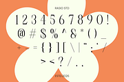 Pavelle Modern Editorial Serif Font, a Serif Font by Rasio Studio (Thumbnail 3 of 9)