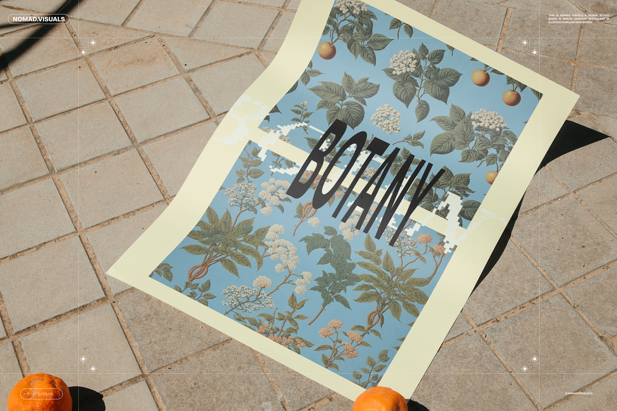 Plants & Flowers Illustrations, a Background Graphic by Nomad Visuals (Photo 11 of 14)