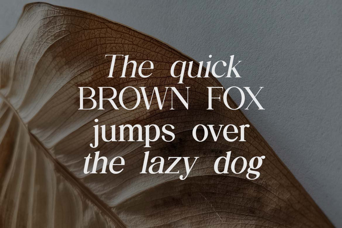 The Regalique Sans Serif Family Font, a Serif Font by UICreative (Photo 7 of 13)