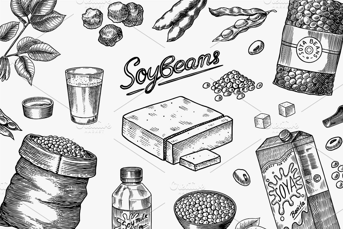 Soya beans. Tofu, nuts, Seeds draw, a Food Illustration by Arthur Balitskiy (Photo 1 of 4)