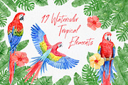 Watercolor tropical elements, an Animal Illustration by AV Design (Thumbnail 1 of 12)