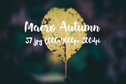 Macro Autumn photo bundle, a Templates & Theme by ApertureVintage (Thumbnail 3 of 21)