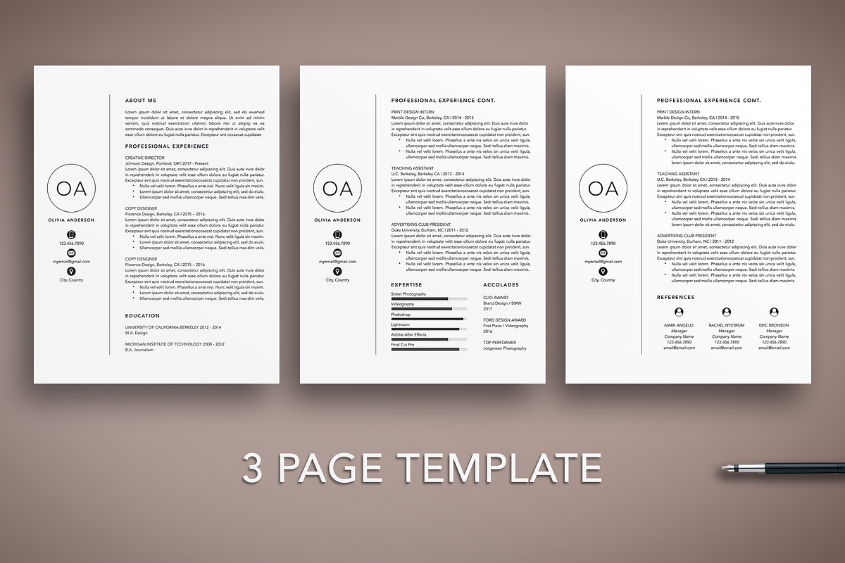 Modern Resume CV Template Mac + PC, a Resume Template by The Creative Resume (Photo 3 of 8)