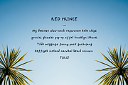 Uperty: Simple Boho Handwritten Font, a Script Font by Delightful Design (Thumbnail 12 of 15)