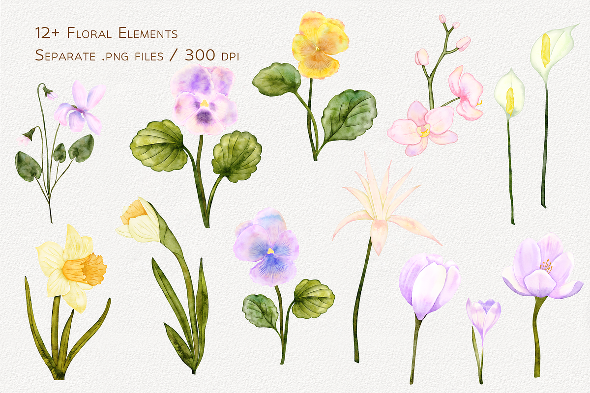 Houseplants Watercolor Collection, a Decorative Illustration by Aurella Art (Photo 2 of 15)