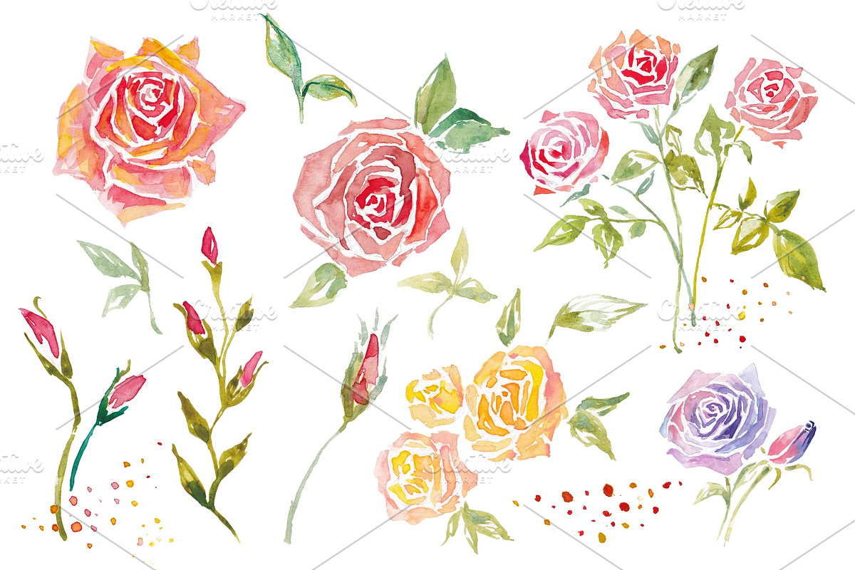 Watercolor Roses set 600 DPI, a Decorative Illustration by byJuliaKors (Photo 2 of 3)