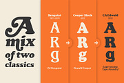 CA Edwald, a Serif Font by Cape Arcona Type Foundry (Thumbnail 2 of 10)