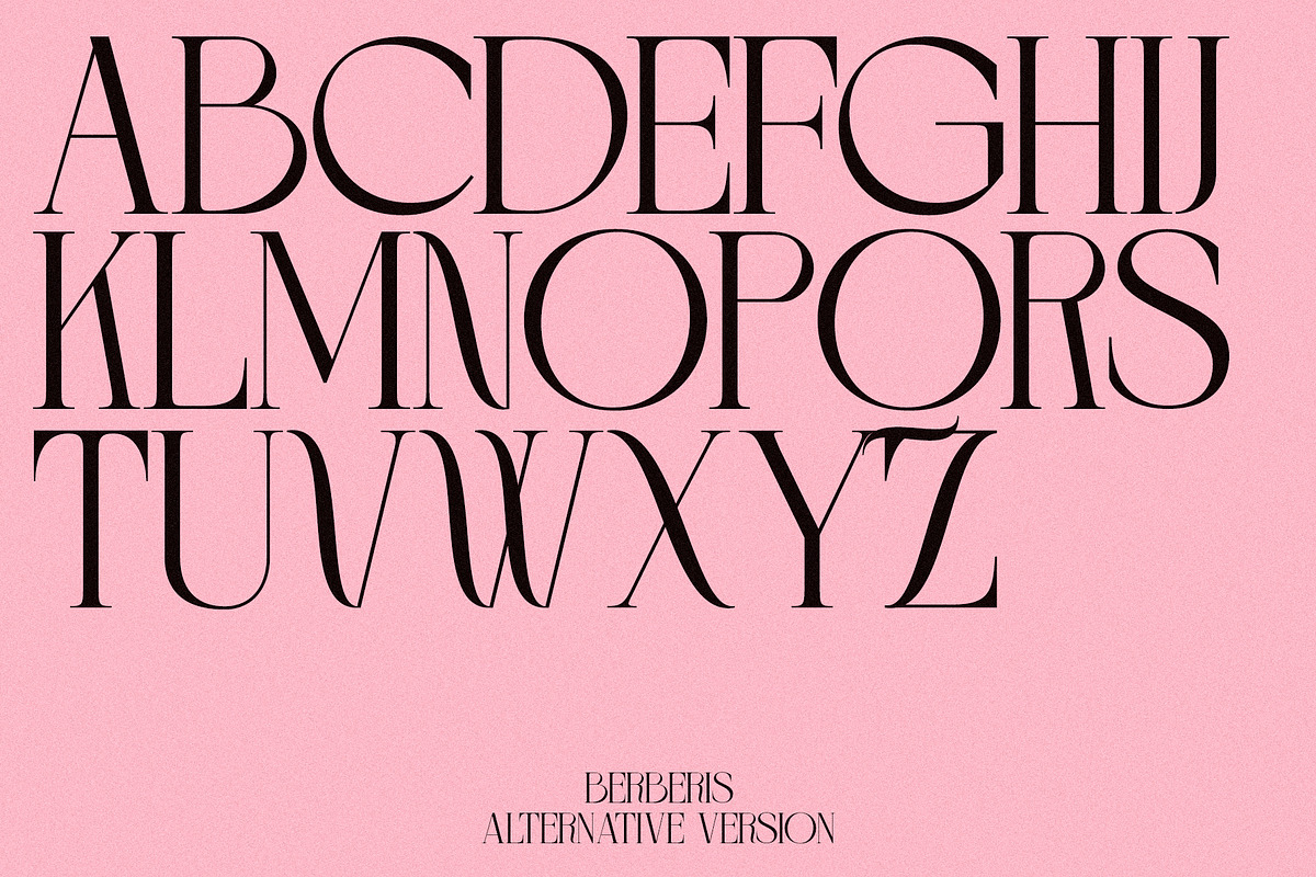 BERBERIS - Display Unique Serif, a Serif Font by Misha Sova (Photo 8 of 14)