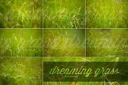Dreaming grass no.2 - 10 photoset preview 2