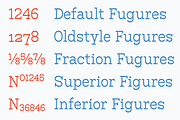 Bardamu – Happy & Weird Slab Serif, a Slab Serif Font by Eugene Tantsurin (Thumbnail 13 of 15)