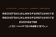 Cowboy Clasico - Western & Vintage, a Sans Serif Font by QR Design Studio (Thumbnail 6 of 7)