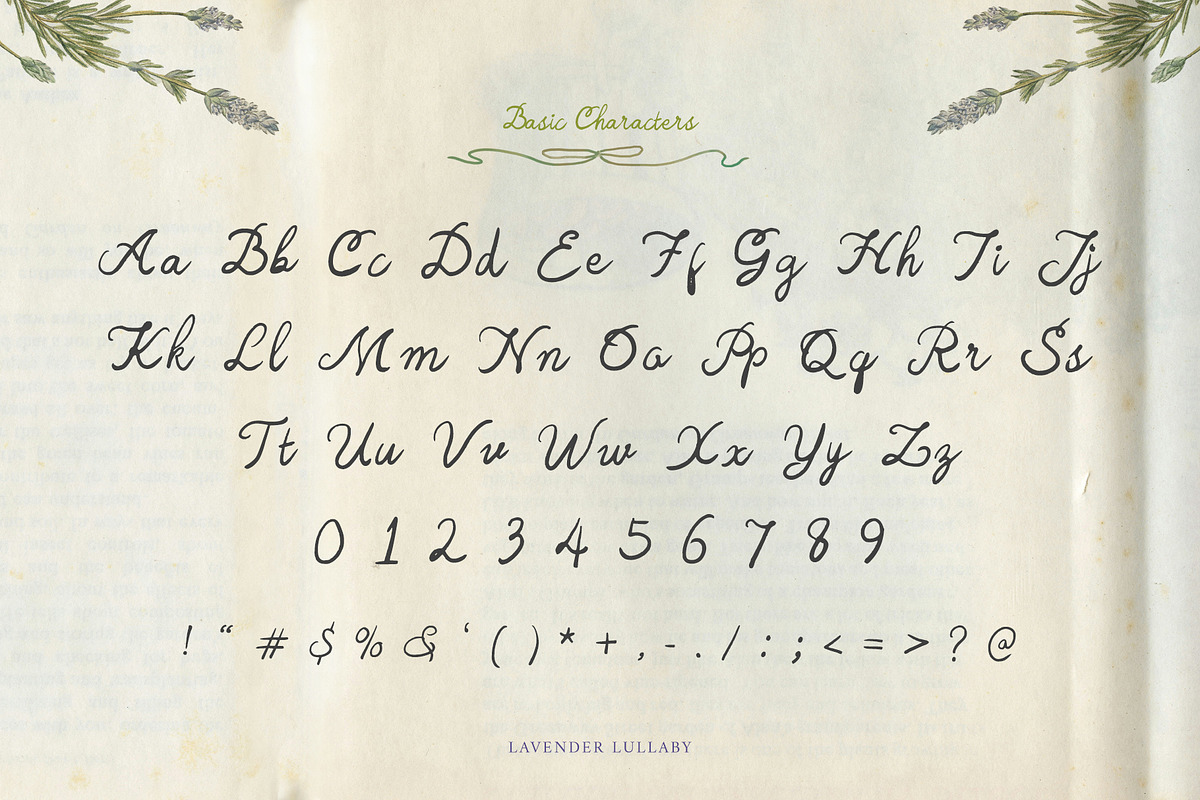 Handwritten Font Lavender Lullaby, a Script Font by Perplexitics (Photo 10 of 11)