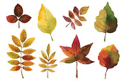 Watercolor autumn leaves, an Illustration by lenlis (Thumbnail 4 of 5)