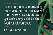 Gafjust Minfine Modern Serif, a Serif Font by timelesstype.co (Thumbnail 19 of 20)