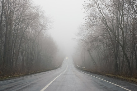foggy straight roade in Ukraine