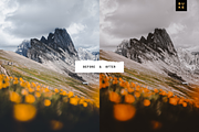 12 Deep Fall Lightroom Presets Pack, a Preset Add-On by SHOOM HOUSE (Thumbnail 3 of 9)