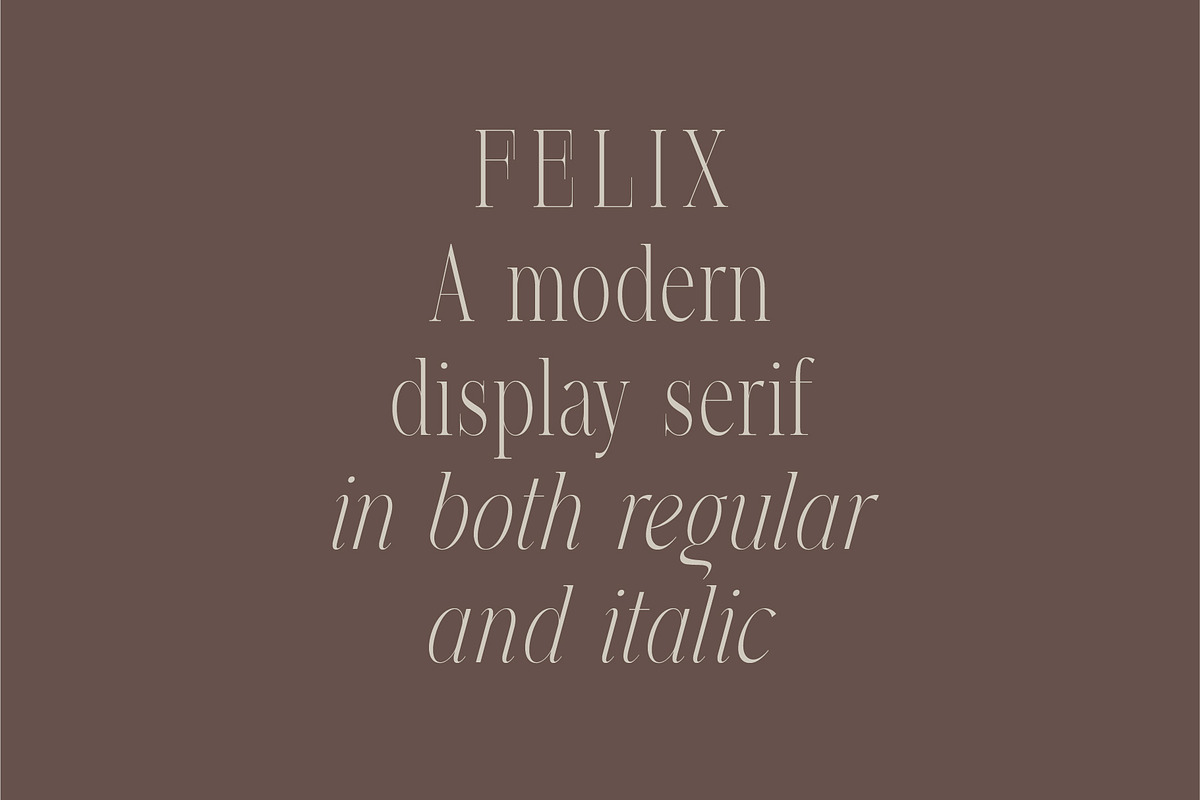 Felix - Condensed Display Serif Font, a Serif Font by Studio Aurora (Photo 2 of 10)
