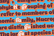 Ding Extra -50%, a Font by Rodrigo Typo (Thumbnail 9 of 9)