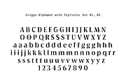 Griggs Variable Typeface, a Serif Font by Seniors (Thumbnail 6 of 10)