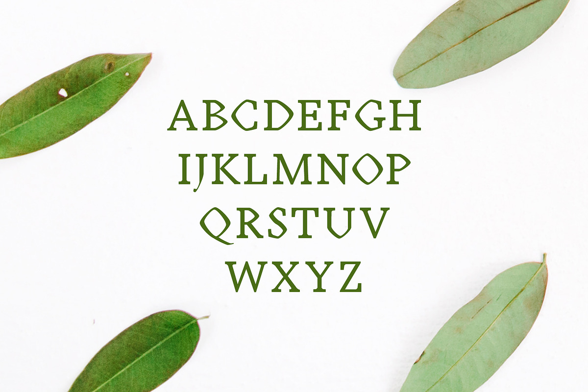 Achazia Serif Font Family Pack preview 2