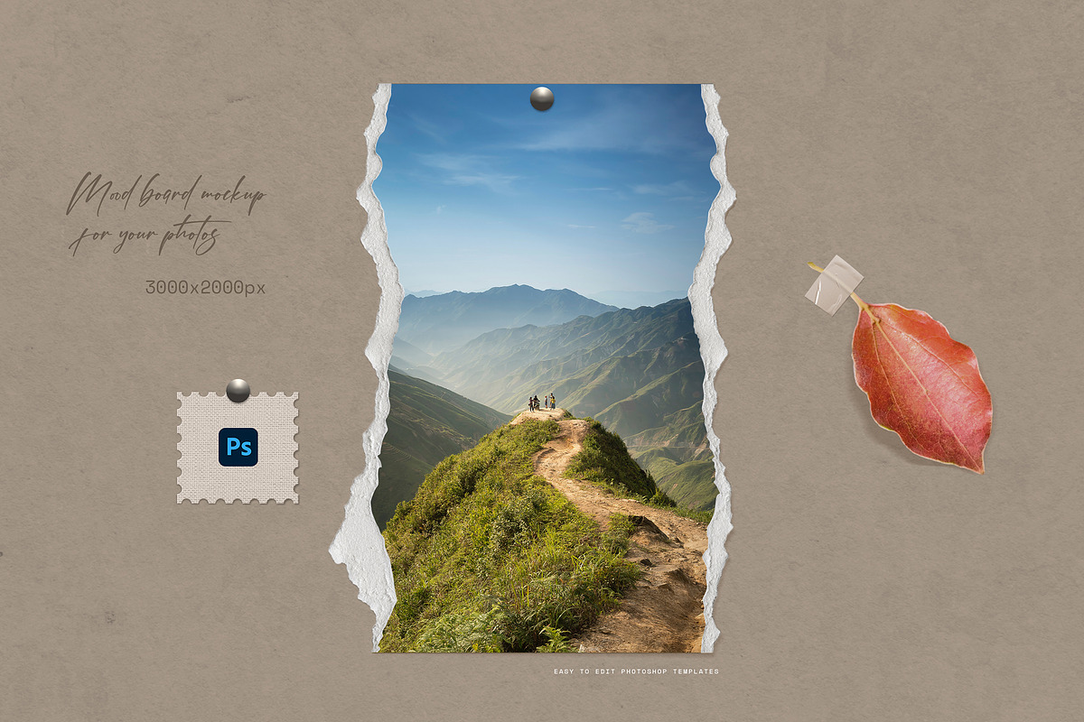 Mood Board Photo Templates, a Design Template by Andrew Skoch Design (Photo 8 of 10)