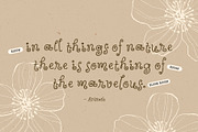 Wildflower Garden | Whimsical Font, a Handwritten Font by type peace (Thumbnail 10 of 14)