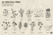 Medicinal Herbs line art + Procreate, an Illustration by Skliarova (Thumbnail 4 of 5)