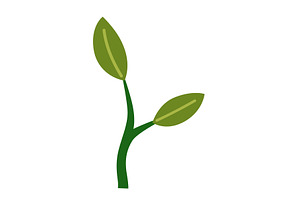 Life cycle of lemon tree. Vector, an Object Illustration by the8monkey
