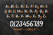 PLATEAU, a Serif Font by Pinisi ART (Thumbnail 2 of 10)