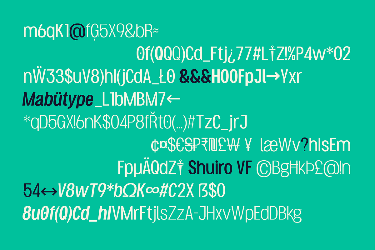 Shuiro Sans, a Sans Serif Font by Mabütype (Photo 8 of 10)