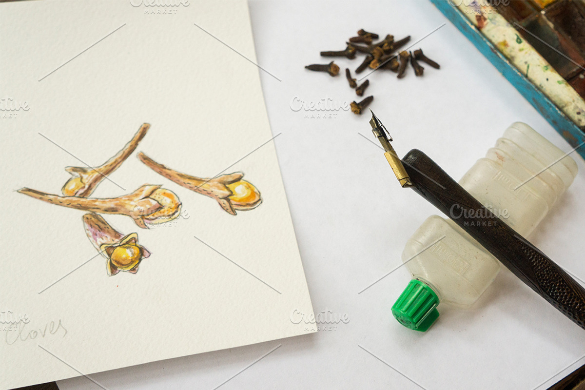 Watercolor spices vector set-1, an Illustration by miminoshka (Photo 10 of 11)