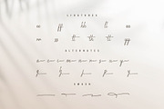 Gramy Pellicent | Handwritten Font, a Script Font by gracetype_studio (Thumbnail 13 of 15)