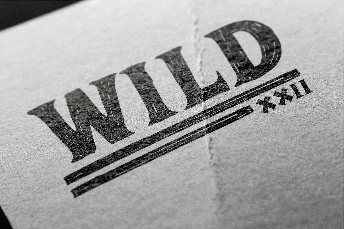ADELARD - Scratches Font preview 7