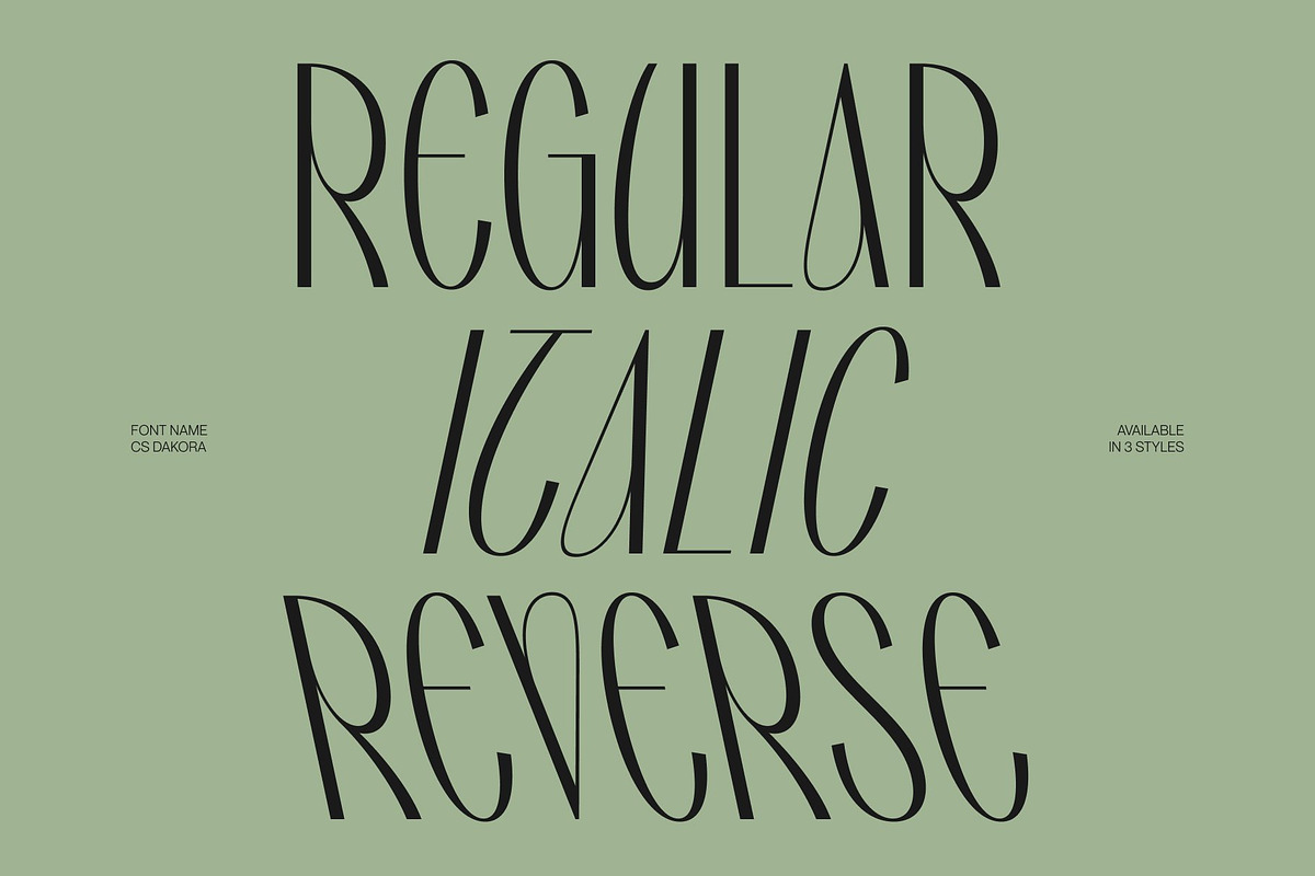 CS Dakora – Elegant Sans Serif, a Sans Serif Font by Craft Supply Co. (Photo 3 of 8)