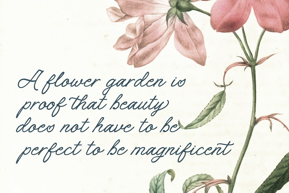 Meadow Anthem, a Handwritten Font by Nathatype (Photo 4 of 11)