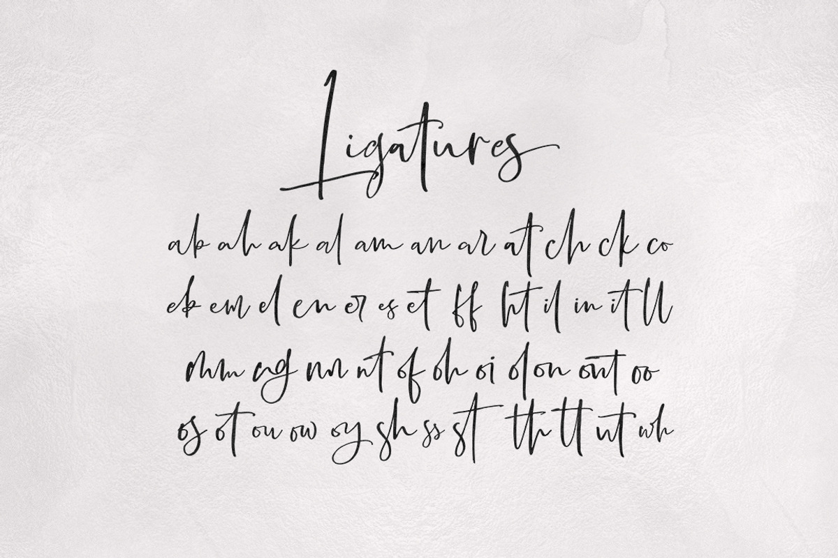 Boisterous Signature, a Script Font by Dhan Studio (Photo 22 of 24)