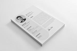 Resume Print Template