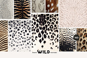 WILD — animal textures & fur, a Texture Graphic by Lana Elanor (Thumbnail 1 of 11)