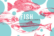 Fish, an Animal Illustration by Vera Holera (Thumbnail 1 of 7)