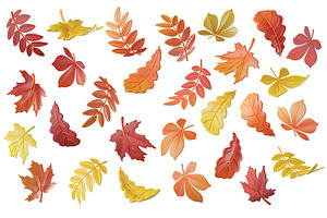 3D Autumn Leaves