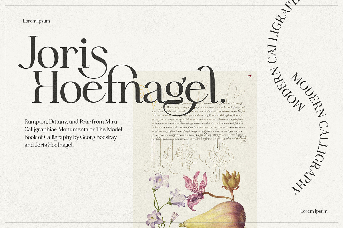 Idealist Serif, a Serif Font by Nicky Laatz (Photo 20 of 34)