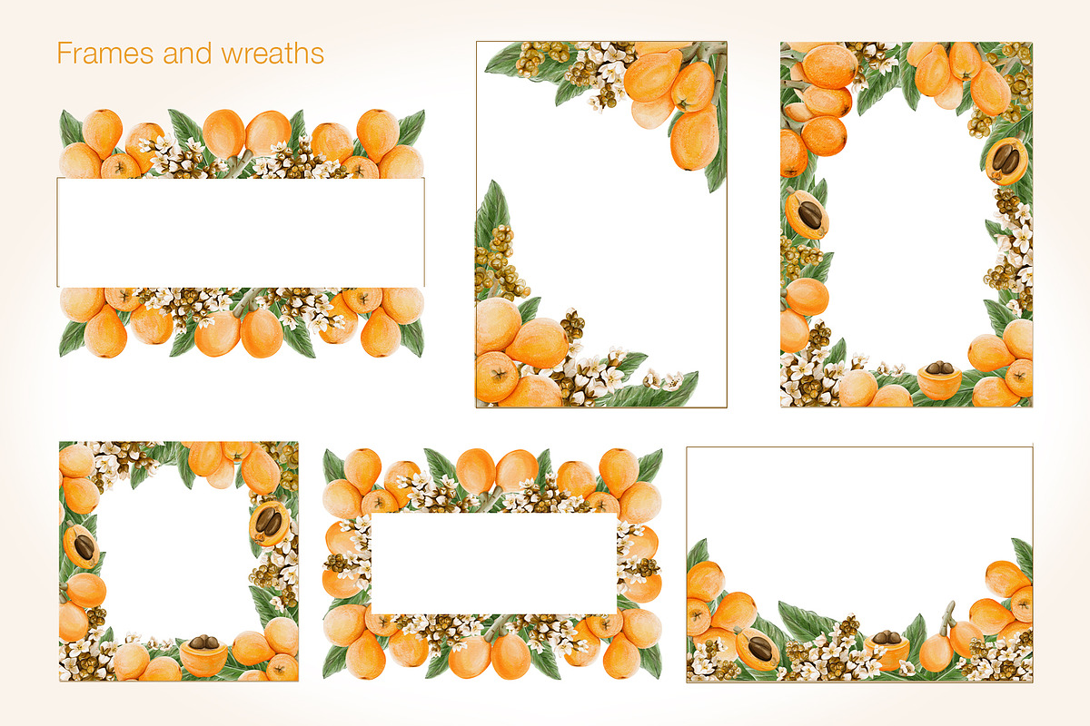 Loquat watercolor clip art, an Illustration by Alena Sid (Photo 9 of 15)