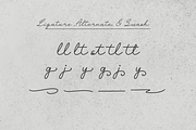 Nestaly Monoline Script Handwritten, a Script Font by gracetype_studio (Thumbnail 16 of 16)
