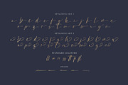 Victoria Smitters, a Script Font by din-studio.com (Thumbnail 10 of 10)