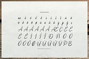 Moonlit Muse Handwritten Script Font, a Script Font by gracetype_studio (Thumbnail 11 of 12)