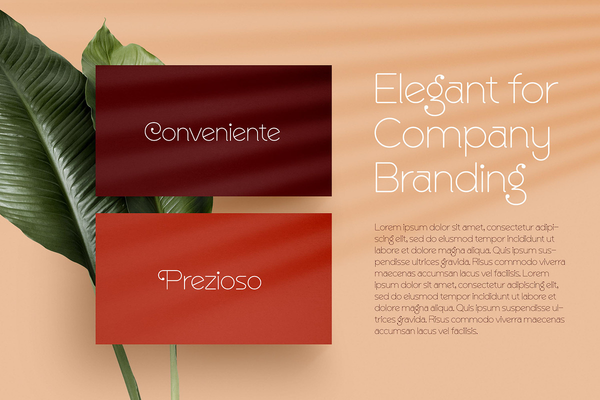 Quinger - Unique Sans Display, a Sans Serif Font by Almarkhatype (Photo 4 of 10)