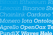 Vicky, a Serif Font by Letritas (Thumbnail 8 of 11)