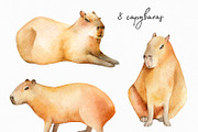 Capybaras Watercolor set, an Animal Illustration by Green_leaf_17 (Thumbnail 2 of 5)